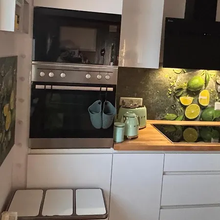 Apartment - Haustiere Willkommen - Erdgeschoss - - Infrarot Waermekabine -kostenloser Parkplatz Mellnau