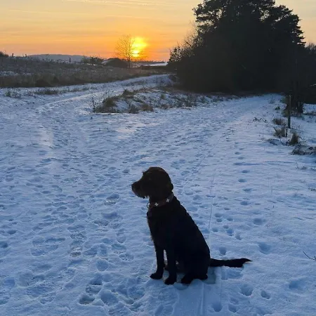 Διαμέρισμα - Haustiere Willkommen - Erdgeschoss - Sauna - - Kostenloser Parkplatz *