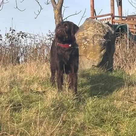 - Haustiere Willkommen - Erdgeschoss - Sauna - - Kostenloser Parkplatz Διαμέρισμα Mellnau