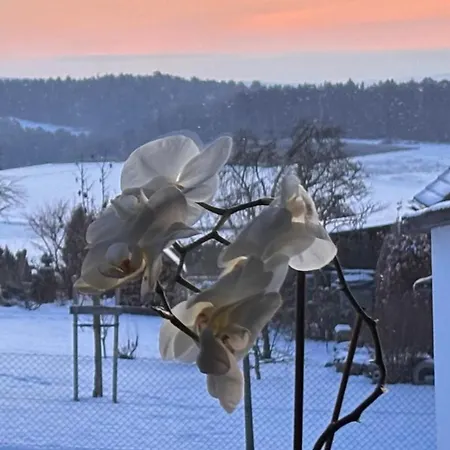 - Haustiere Willkommen - Erdgeschoss - Sauna - - Kostenloser Parkplatz Mellnau