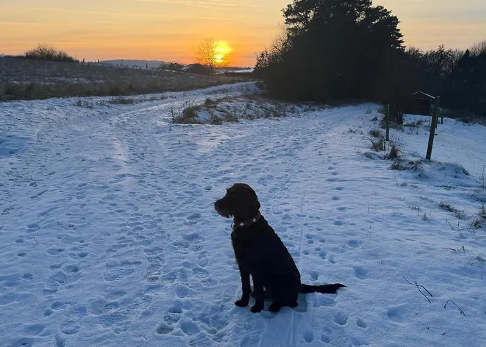 Apartamento - Haustiere Willkommen - Erdgeschoss - Sauna - - Kostenloser Parkplatz *