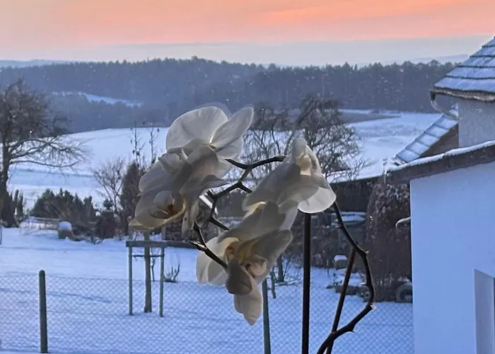- Haustiere Willkommen - Erdgeschoss - Sauna - - Kostenloser Parkplatz Mellnau