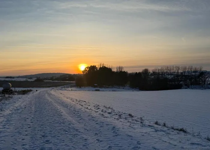 Апартаменты - Haustiere Willkommen - Erdgeschoss - Sauna - - Kostenloser Parkplatz