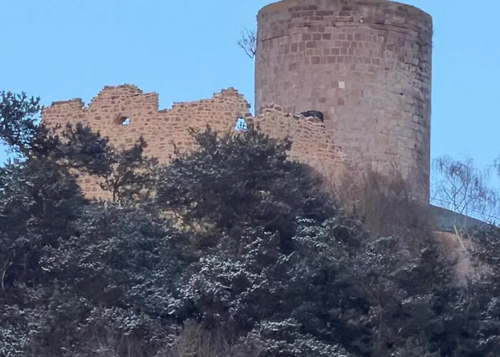 - Haustiere Willkommen - Erdgeschoss - Sauna - - Kostenloser Parkplatz Апартаменты *